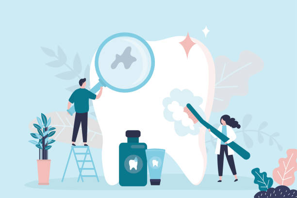 Best Laser Dentistry  in New Port Richey, FL